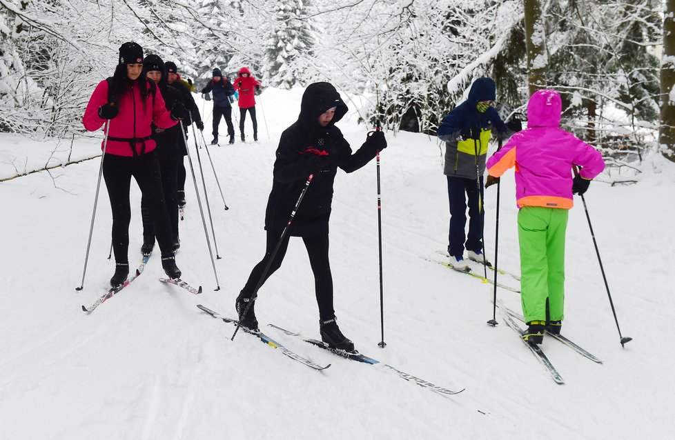 Lyžaři na běžkách vyrazili 30. ledna 2021 ze sedla Skřítek na Rýmařovsku v Jeseníkách, které je výchozím místem řady turistických a běžkařských tras.