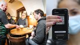 Ne jedna, ale dvě aplikace ke vstupu do podniků. Klíčem k rozvolňování v Česku budou mobily?