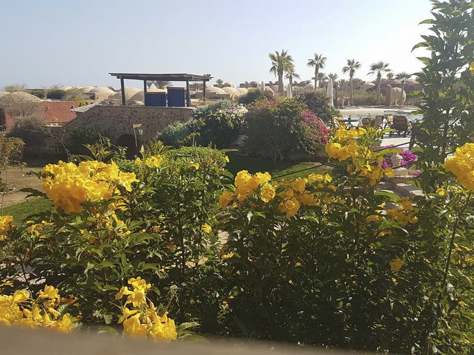 Hotel Calimera Habiba Beach Resort v egyptském Marsa Alam