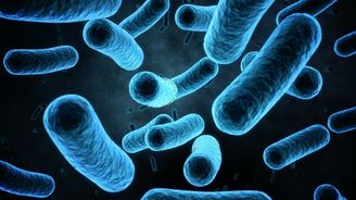Čeští vědci mění vývoj antibiotik. Jejich metoda cílí na trh za 12 miliard dolarů Čeští vědci mění vývoj antibiotik. Jejich metoda cílí na trh za 12 miliard dolarů