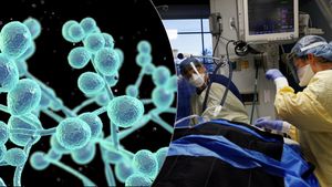 V nemocnicích se šíří smrtící houba. Epidemiolog Maďar zmínil „noční můru“ pro Česko