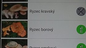 Stačí k tomu chytrý telefon s dobrým foťákem. Ovšem pozor, je to první verze, a tak může být dost nepřesná.