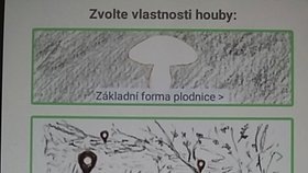 Sami uživatelé i vývojáři varují lidi, kteří by se na ni chtěli stoprocentně spoléhat.