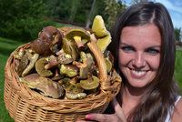 Češi budou moci sbírat houby pro stát. Šumavský projekt za miliony dotuje EU