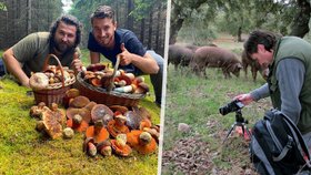 Houbaři letos na jaře sbírali méně než obvykle, zájem o poradnu zůstává