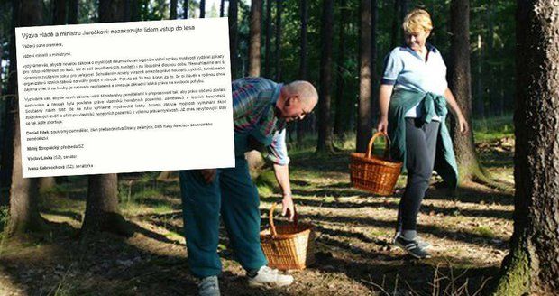 Za houbaření a výlet do lesa 30 tisíc pokuta? Odpůrci podepisují petici