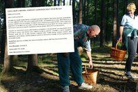 Za houbaření a výlet do lesa 30 tisíc pokuta? Odpůrci podepisují petici