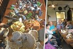 Houbaři z Velkých Hamrů vyrazili na první letošní společnou vycházku: Našli 35 druhů hub!