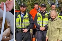 Stařenka (83) se ztratila na houbách: Chladná noc v lese! Spala jsem opřená o strom, popsala