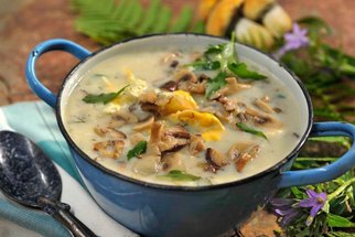 10 receptů na ty nejlepší houbové polévky: Uvařte si poctivou a hustou kulajdu, liškajdu nebo falešnou dršťkovku z hlívy