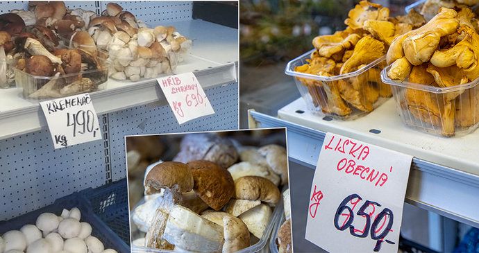 GALERIE: Za kilo hub i 700 korun, kolik dostanete ve výkupně? | Blesk.cz