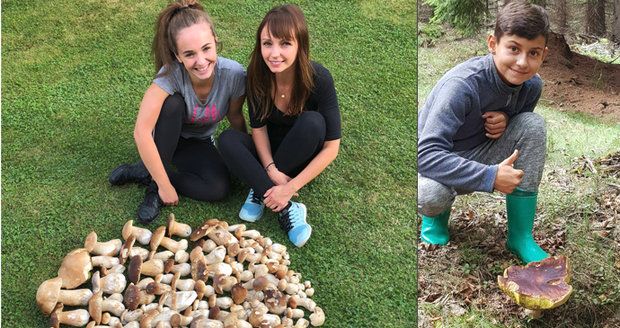 200 hřibů za 2 hodiny: Po absolutním půstu začínají houbí hody