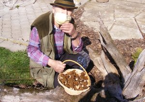 Miroslav Kotzauer (77) s plným košíkem hub.