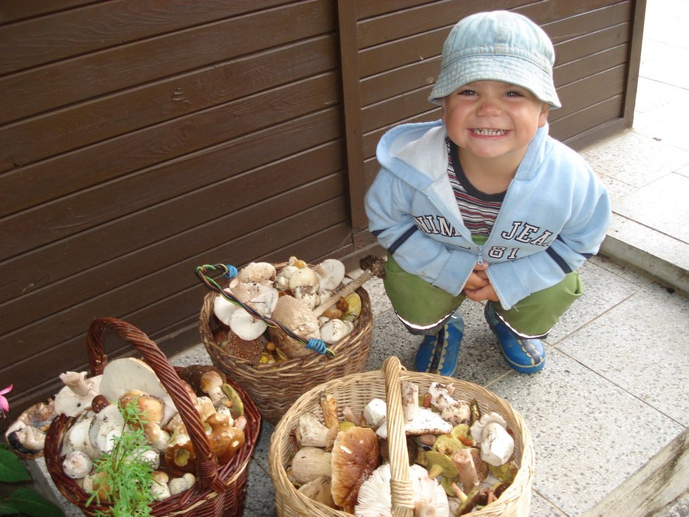 Jeden z nejmladších houbařů malý Jaroušek Kovář nasbíral na Svitavsku tři plné koše hřibů.