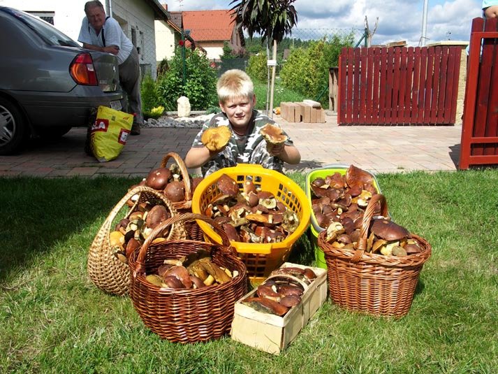 Sedm košů hřibů nasbírala rodina J. Žikovské u Bělé pod Bezdězem.