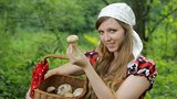 7 mýtů o houbách: Smí se zamrazovat a ohřívat?