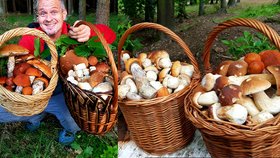 Radkovi Toušovi z Kladna při houbaření nestačí košíky.