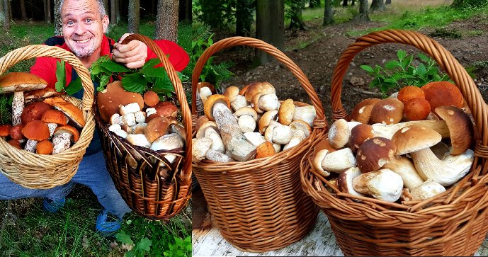 Radkovi Toušovi z Kladna při houbaření nestačí košíky.