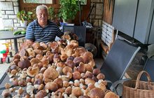 Tajná místa v Česku: Neskutečné úlovky houbařů