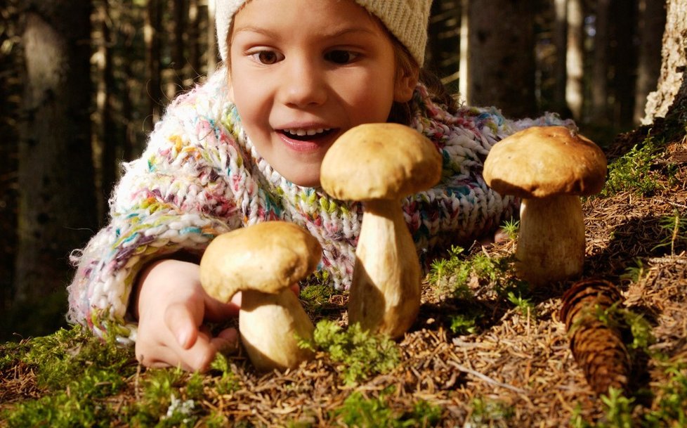 Houby měly být pro děti pouhým doplňkem jídla. Batolata by neměla jíst houby vůbec