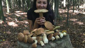 Takovouto úrodu našla v lese u Kyjova Zuzana Bořecká (26).