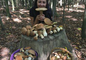 Takovouto úrodu našla v lese u Kyjova Zuzana Bořecká (26).