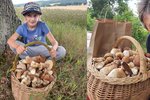 Podmínky pro růst hub jsou podle mykologa Jaroslava Malého vynikající. Svým nálezem to potvrzuje i houbařka Anička (10).