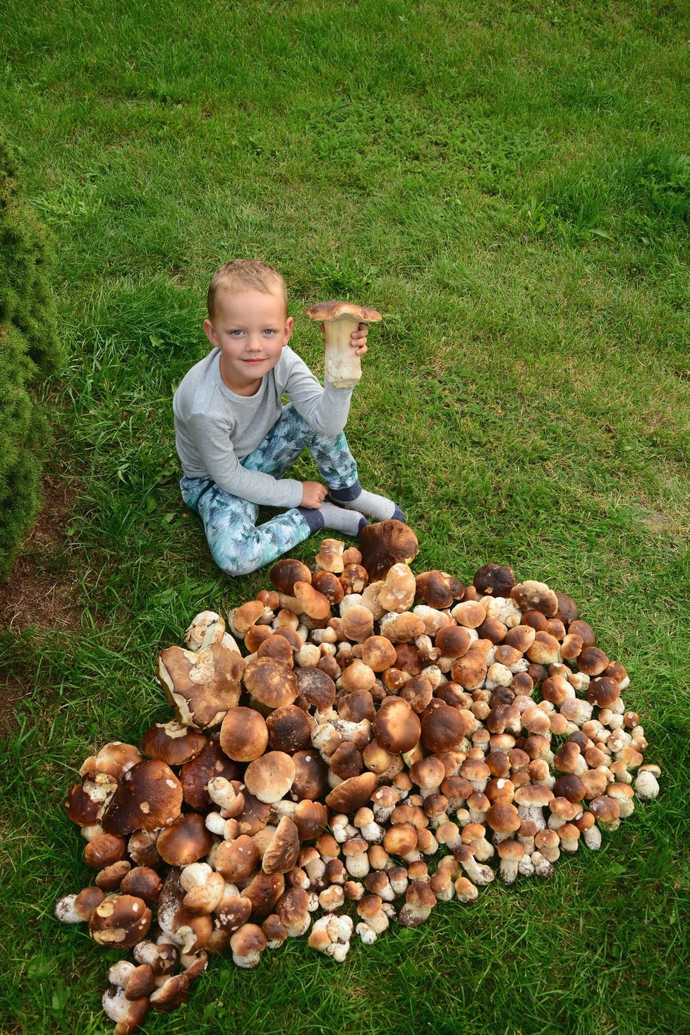 Takto vypadaly úlovky z loňského roku.