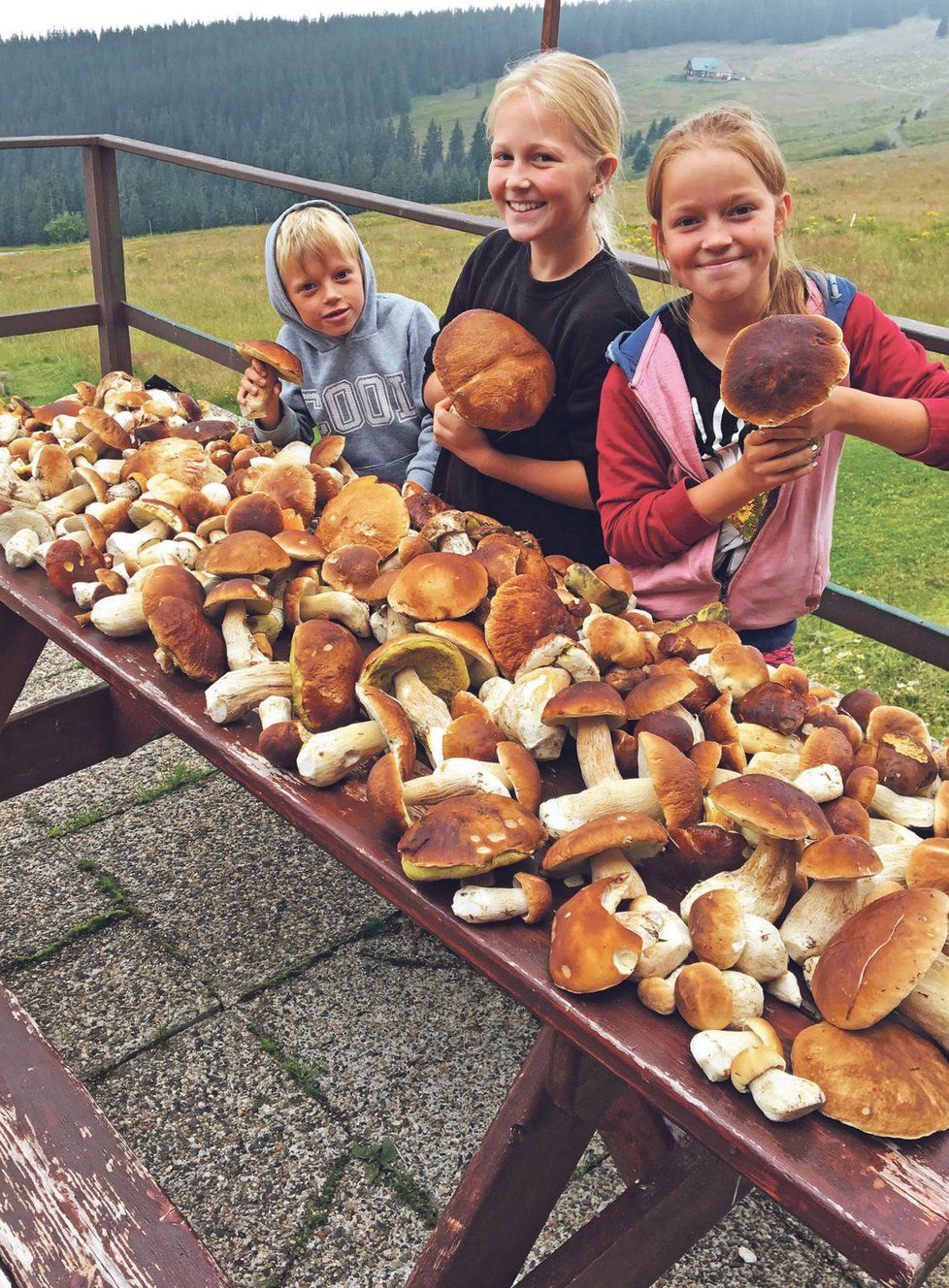 Tomík (7), Viky (11) a Kačka (13) s nasbíranými hříbky.