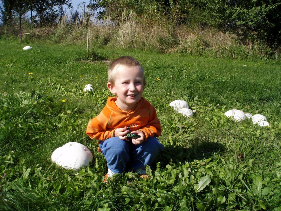 Malý Tobík Jiřiny Navrátilové Novotné z Oplocan u Tovačova nemusí nikam daleko chodit. Takové pýchavky zbírá doma na zahradě