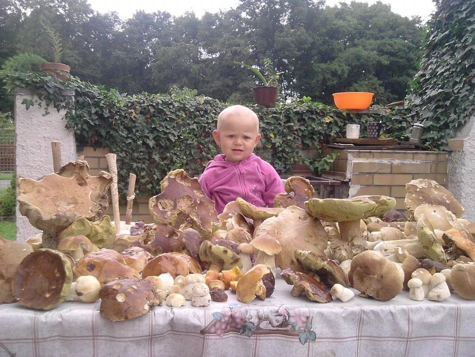 Malá Barborka Krejzová se nestačí nad tou úrodou, která vyrostla na Rychnovsku, divit…