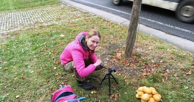 Markéta Vlčková při fotografování hub.