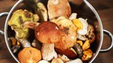 Nejlepší houbové recepty: Co uvařit z žampionů, lišek, bedel a dalších oblíbených hub?
