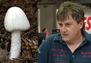 Otrávit vás mohou i jedlé houby, varuje mykolog.