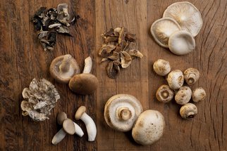 Otrava houbami: Na které si dát největší pozor a jaká je první pomoc? 