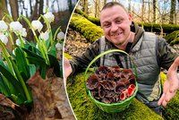 Už rostou! Lukáš si z Českého ráje odnesl plný košík hub