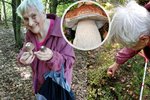 Alena vzala svou maminku Věru Lokšanovou (95) na houby.  Její momentky z lesa dojaly ostatní houbaře.
