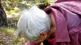 Houbaření je národní sport Čechů. Do lesa na houby se letos vydala například i Věra Lokšanová (95). Její momentky z lesa dojaly ostatní houbaře.