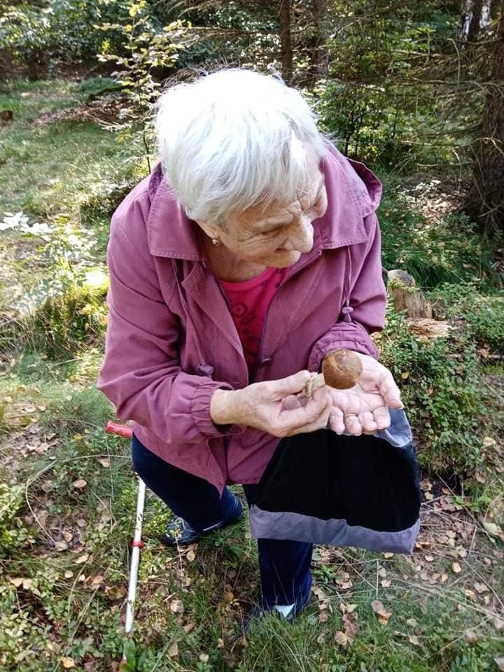 Alena vzala svou maminku Věru Lokšanovou (95) na houby. Její momentky z lesa dojaly ostatní houbaře.