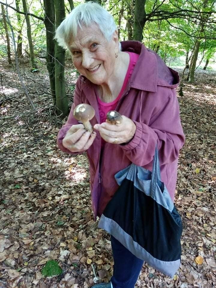 Alena vzala svou maminku Věru Lokšanovou (95) na houby. Její momentky z lesa dojaly ostatní houbaře.