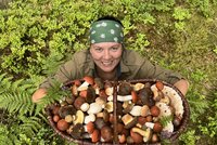 Češi vzali lesy útokem: Kde houby opravdu rostou? Mrkněte i pod okap, radí mykolog