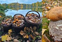 Barevná houbová pohádka a křemenáč jako pěst! Jiří ví, kam se vydat