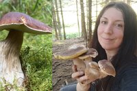 Příroda v lese čaruje: Houbaři našli pětihřib i dvojčata! Mrkněte do galerie