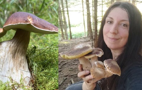 Příroda v lese čaruje: Houbaři našli pětihřib i dvojčata! Mrkněte do galerie