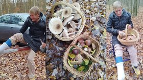 Na houby se sádrou! Lékařka Mirka (64) si v lese zlomila nohu, ale stejně našla plné koše!