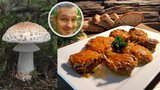 Sbíráte muchomůrku růžovku? Tenhle recept musíte vyzkoušet! A jak si ji nesplést?