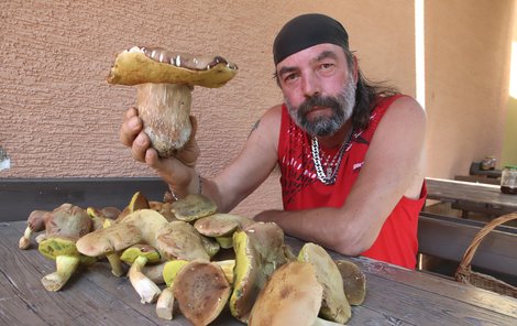 „Rostou! Pokud máte rádi houby, vyrazte do lesa,“ nabádá Petr Essender.