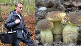 Sucho donutilo houbaře k nevídanému činu: Našel 3 kozáky dubové, ale raději je zahrabal do listí