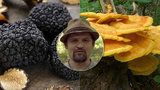 Kde všude rostou výborné jedlé houby? Do lesa klidně s žebříkem, radí mykolog!