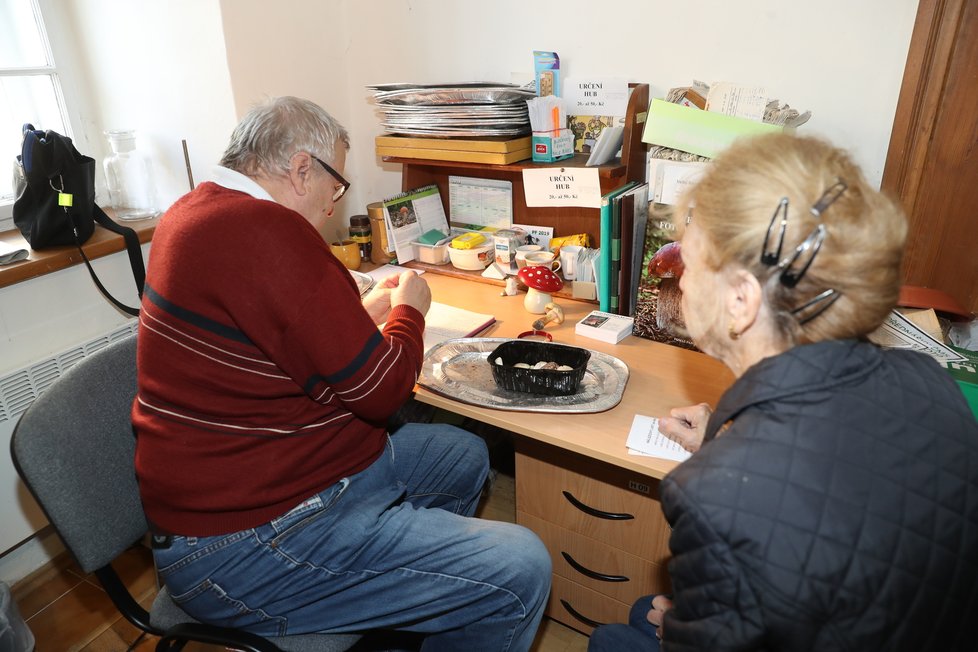 „Tohle je muchomůrka citronová, ta obsahuje takzvaný ropuší jed..“